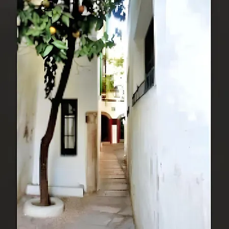 Apartment Charming Centre In With Parking *