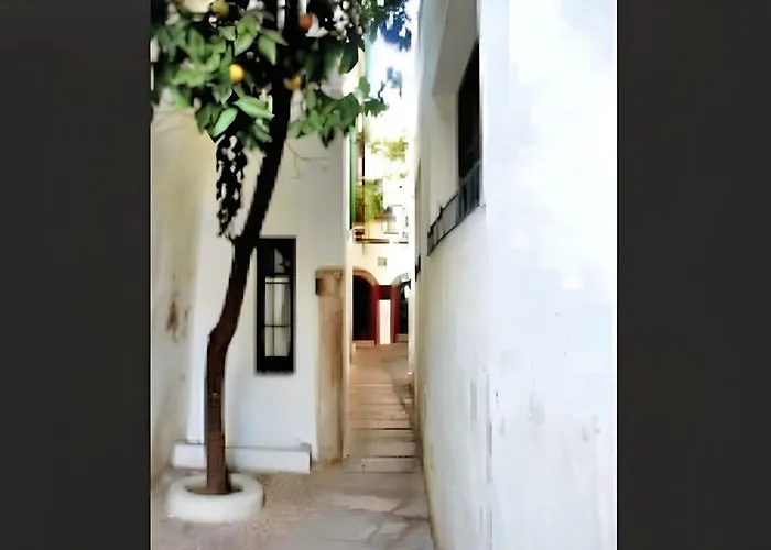 Appartement Charming Centre In With Parking *